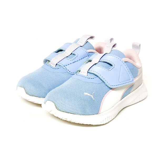 puma - 画像 (2)