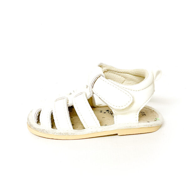 preen