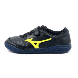 mizuno